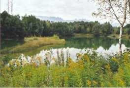 panoramio.com Biotop