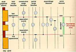 Bioz