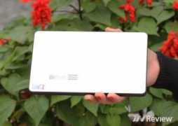 Bipad