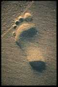 digidownload.libero.it Bipinchandra