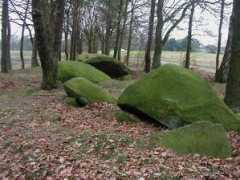 Bippen