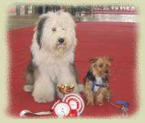 oldenglishsheepdog.it Birbantella