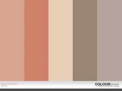 colourlovers.com Bircks