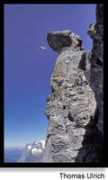 aerialextreme.com Birdan