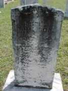 adamsonancestry.com Birdell