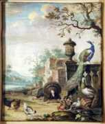 Birdes