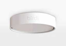 Birdi