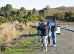 friendsofbayfrontpark.org Birding