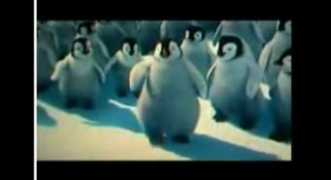 diretube.com Bireda