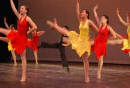 shelypackdancers.com Birel