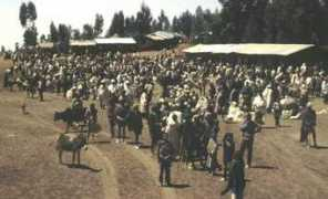ethiopian-venture.org.uk Birhan