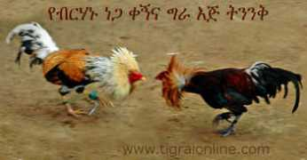 tigraionline.com Birhanu