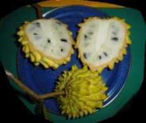Biriba