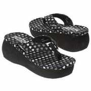 shoeshoetrain.com Birino