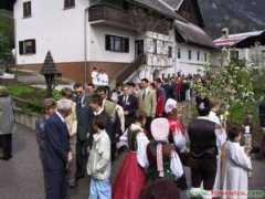 zirovnica.com Birmal