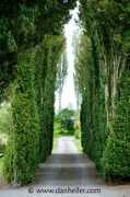 Birr