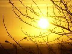 josira.blog.is Birtan