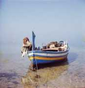 panoramio.com Biscione