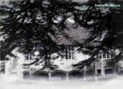 Bisham