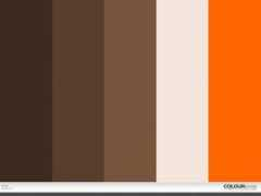 colourlovers.com Bister