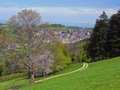 panoramio.com Bistrich