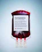 herald.co.zw Biswick