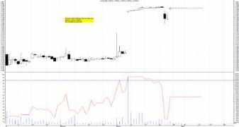 laborsadeipiccoli.com Bital