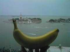 Bitaly
