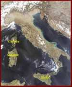 Bitaly