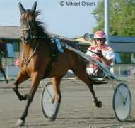 arvidolsen.dk Bitho