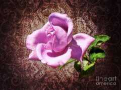 fineartamerica.com Bitner