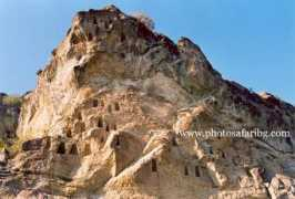 photosafaribg.com Biuk