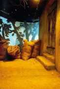museum.agropolis.fr Bivina