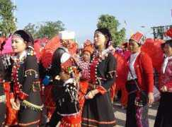 dhtjb.com Biwang