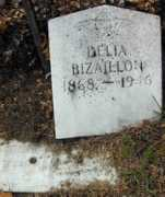 hampshirecountyhistory.com Bizaillon