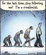 blog.case.edu Bizarro