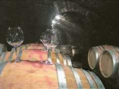 wineterroirs.com Bizot
