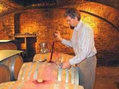 wineterroirs.com Bizot