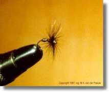 home.claranet.nl Blackant