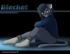 furnation.ru Blackat
