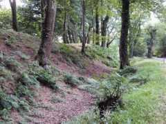 themodernantiquarian.com Blackbury