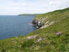 explorethesouthwestcoastpath.co.uk Blackers