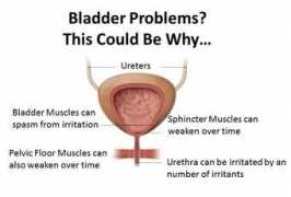 Bladder