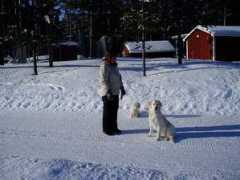 landsronningen.com Blaizy
