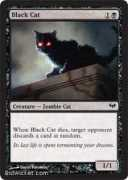 bidwicket.com Blakcat