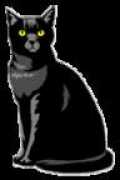 dogsaver.org Blakcat