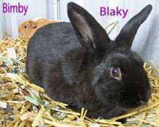 Blaky