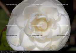 photaki.es Blancos