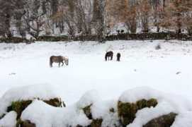 objetivocantabria.eldiariomontanes.es Blancos
