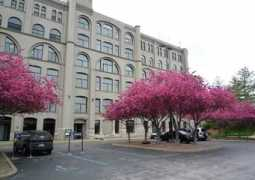 duffenuernbergerrealty.com Blanke